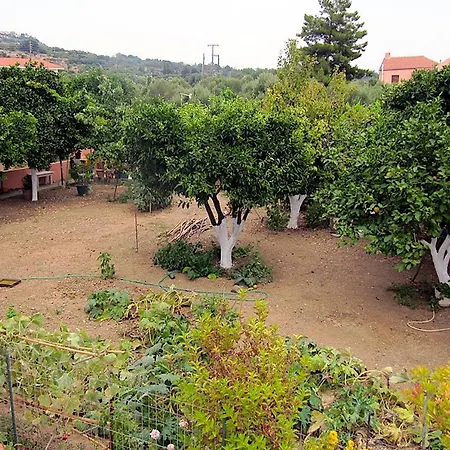 דירה Alkmini Studio Minia